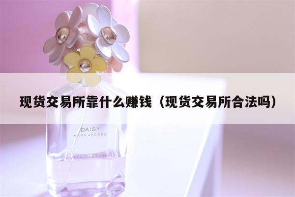 现货交易所靠什么赚钱（现货交易所合法吗）