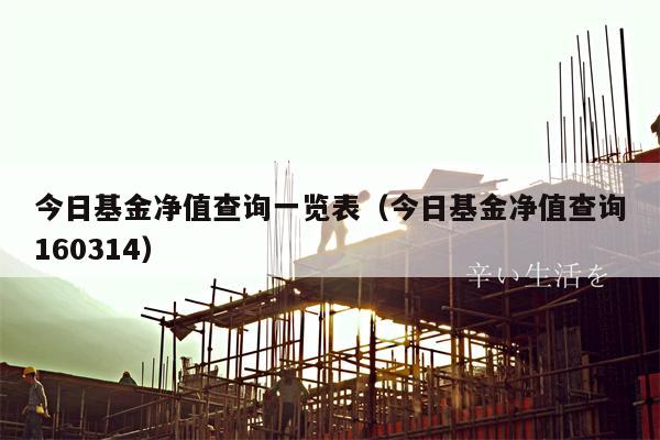 今日基金净值查询一览表（今日基金净值查询160314）