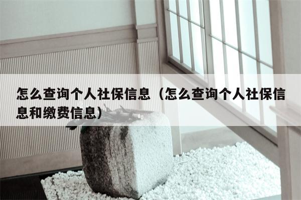 怎么查询个人社保信息（怎么查询个人社保信息和缴费信息）