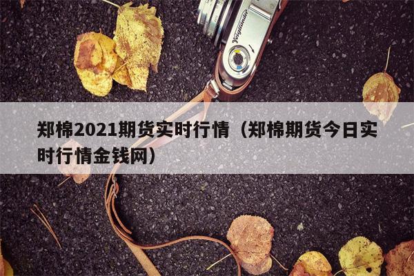 郑棉2021期货实时行情（郑棉期货今日实时行情金钱网）