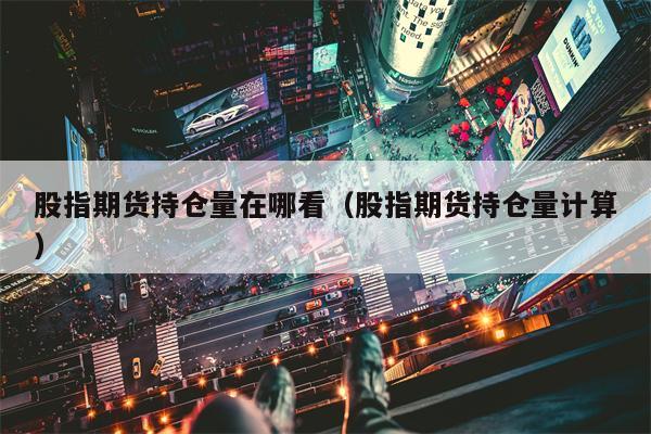 股指期货持仓量在哪看（股指期货持仓量计算）