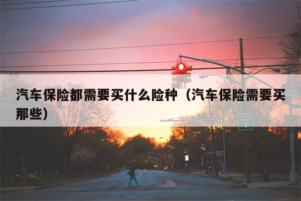汽车保险都需要买什么险种（汽车保险需要买那些）