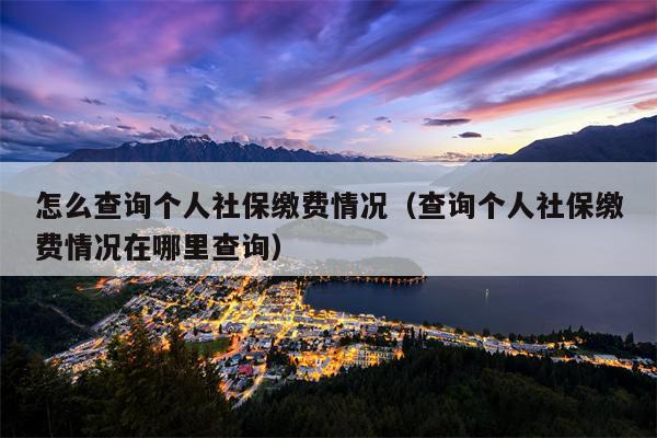怎么查询个人社保缴费情况（查询个人社保缴费情况在哪里查询）