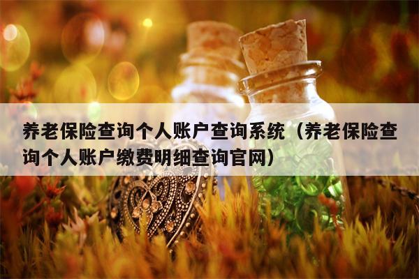 养老保险查询个人账户查询系统（养老保险查询个人账户缴费明细查询官网）