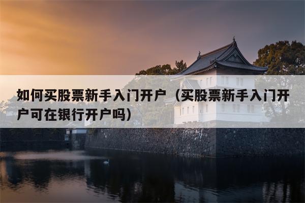 如何买股票新手入门开户（买股票新手入门开户可在银行开户吗）