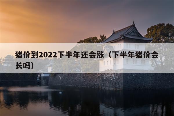 猪价到2022下半年还会涨（下半年猪价会长吗）