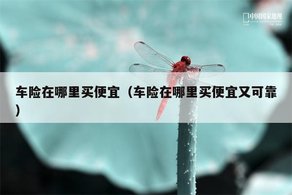 车险在哪里买便宜（车险在哪里买便宜又可靠）