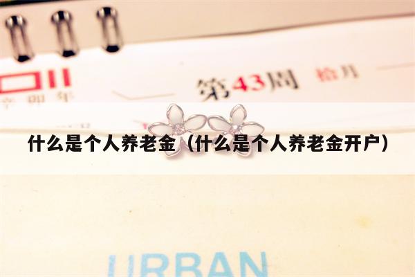 什么是个人养老金（什么是个人养老金开户）