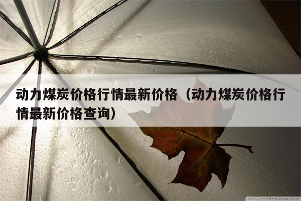 动力煤炭价格行情最新价格（动力煤炭价格行情最新价格查询）