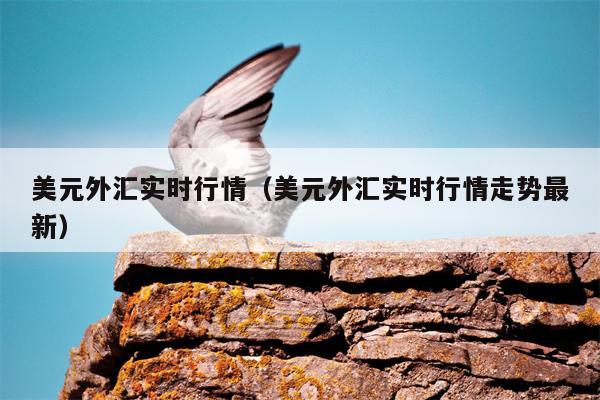 美元外汇实时行情（美元外汇实时行情走势最新）