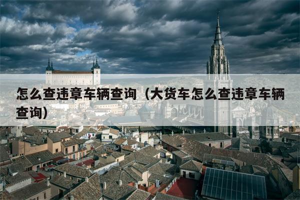 怎么查违章车辆查询（大货车怎么查违章车辆查询）