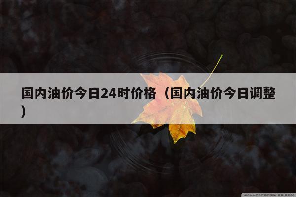 国内油价今日24时价格（国内油价今日调整）