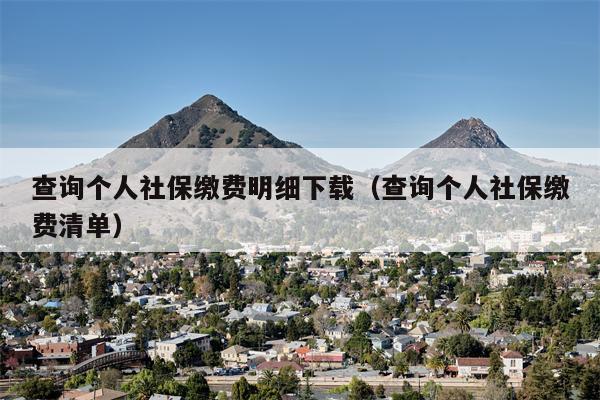 查询个人社保缴费明细下载（查询个人社保缴费清单）