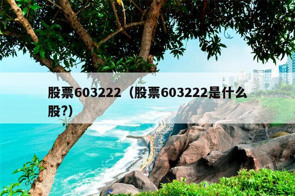 股票603222（股票603222是什么股?）
