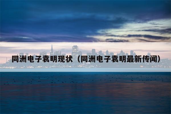 同洲电子袁明现状（同洲电子袁明最新传闻）