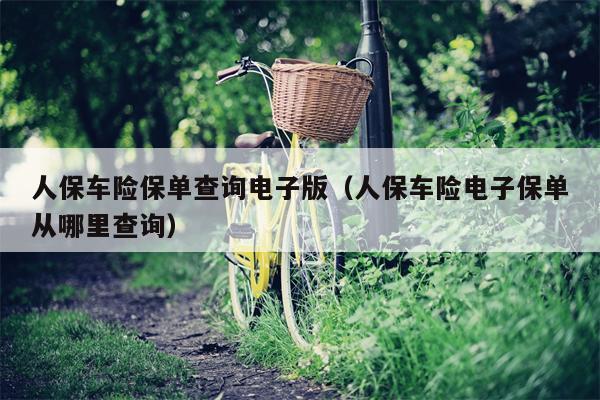 人保车险保单查询电子版（人保车险电子保单从哪里查询）