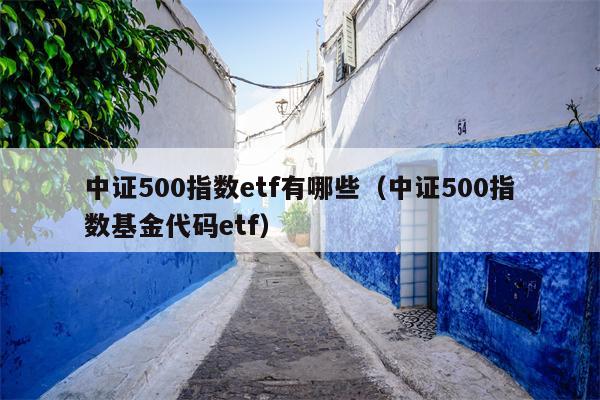 中证500指数etf有哪些（中证500指数基金代码etf）