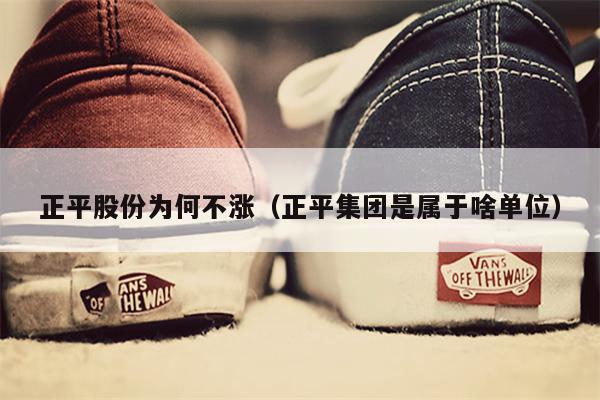 正平股份为何不涨（正平集团是属于啥单位）