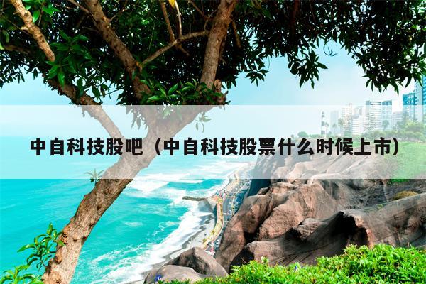 中自科技股吧（中自科技股票什么时候上市）