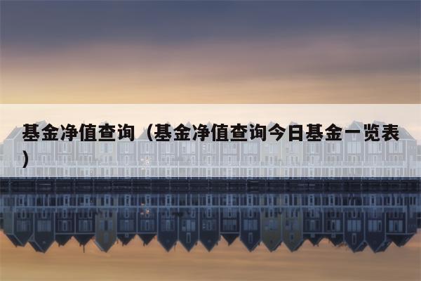 基金净值查询（基金净值查询今日基金一览表）