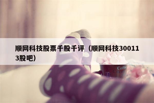 顺网科技股票千股千评（顺网科技300113股吧）