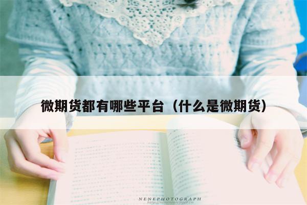 微期货都有哪些平台（什么是微期货）