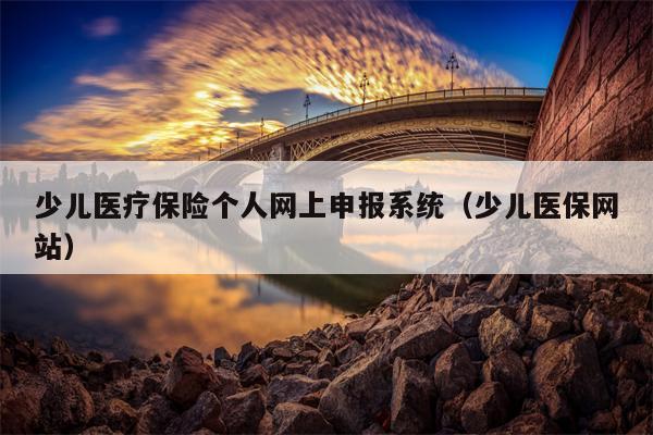 少儿医疗保险个人网上申报系统（少儿医保网站）