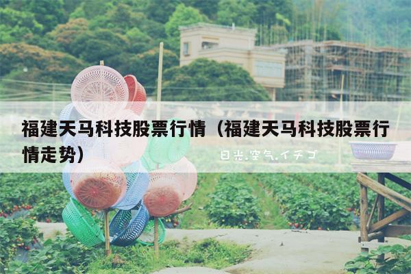 福建天马科技股票行情（福建天马科技股票行情走势）