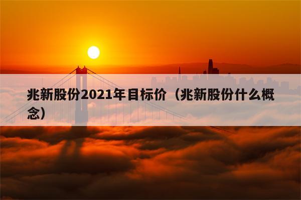 兆新股份2021年目标价（兆新股份什么概念）