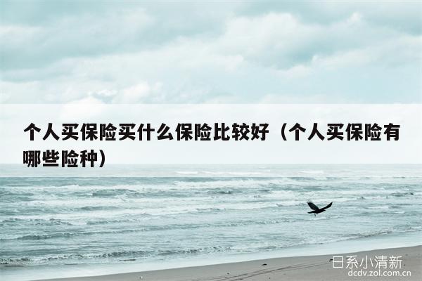 个人买保险买什么保险比较好（个人买保险有哪些险种）