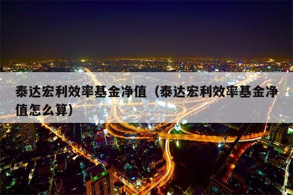 泰达宏利效率基金净值（泰达宏利效率基金净值怎么算）