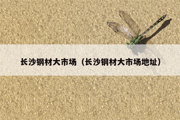 长沙钢材大市场（长沙钢材大市场地址）