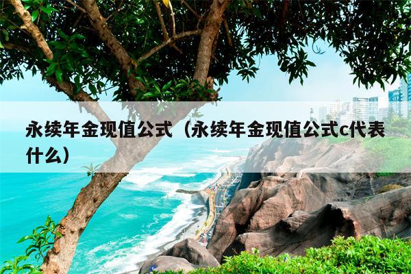 永续年金现值公式（永续年金现值公式c代表什么）