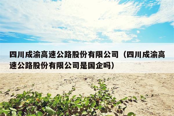 四川成渝高速公路股份有限公司（四川成渝高速公路股份有限公司是国企吗）