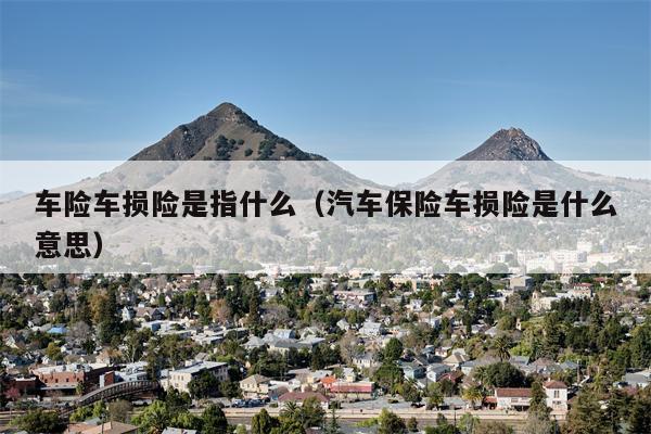 车险车损险是指什么（汽车保险车损险是什么意思）