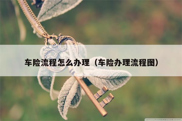 车险流程怎么办理（车险办理流程图）