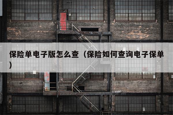 保险单电子版怎么查（保险如何查询电子保单）