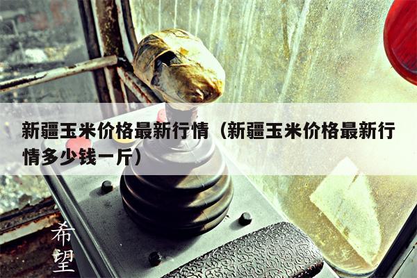 新疆玉米价格最新行情（新疆玉米价格最新行情多少钱一斤）