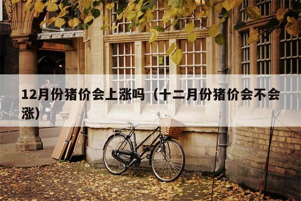 12月份猪价会上涨吗（十二月份猪价会不会涨）