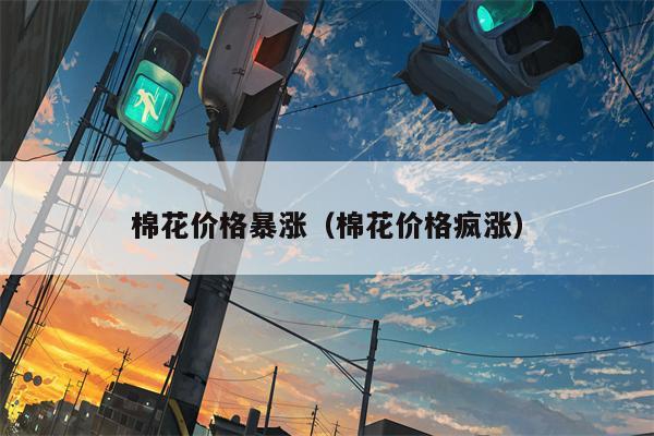 棉花价格暴涨（棉花价格疯涨）