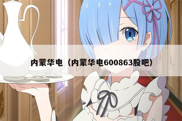 内蒙华电（内蒙华电600863股吧）