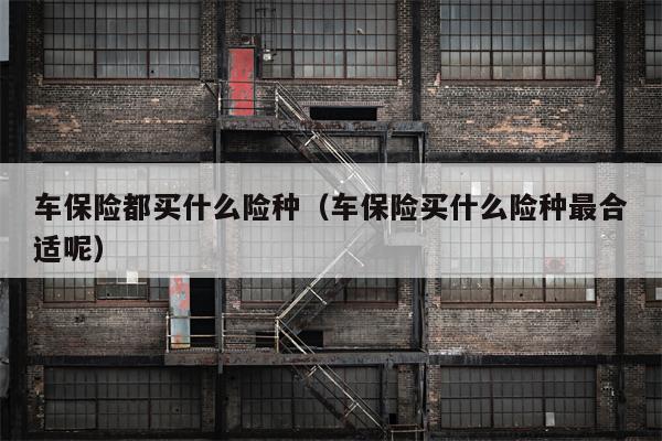 车保险都买什么险种（车保险买什么险种最合适呢）