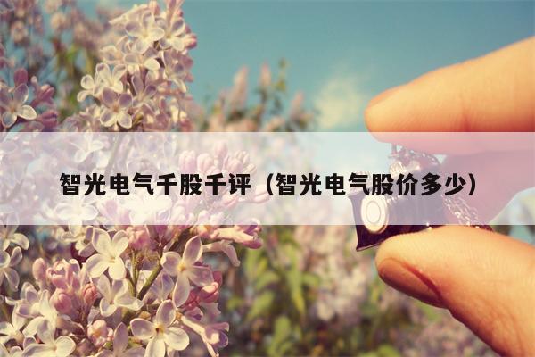 智光电气千股千评（智光电气股价多少）