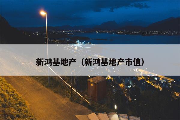 新鸿基地产（新鸿基地产市值）