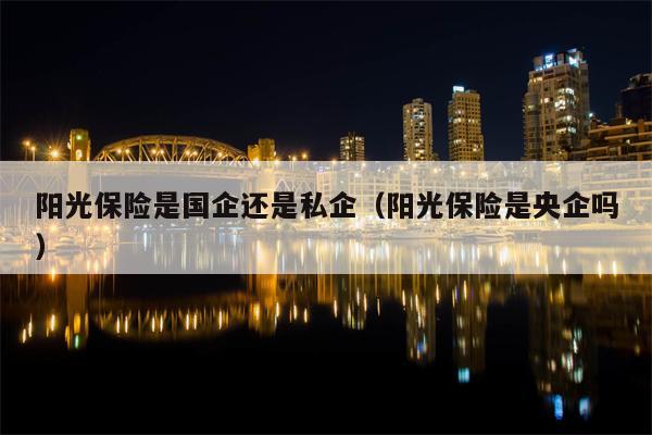 阳光保险是国企还是私企（阳光保险是央企吗）