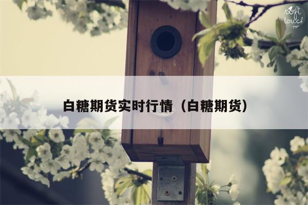 白糖期货实时行情（白糖期货）