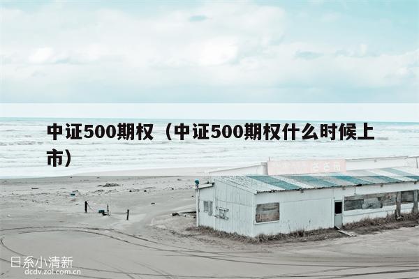 中证500期权（中证500期权什么时候上市）