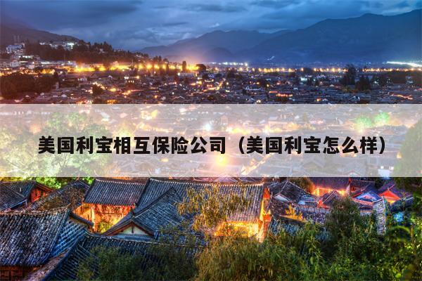 美国利宝相互保险公司（美国利宝怎么样）