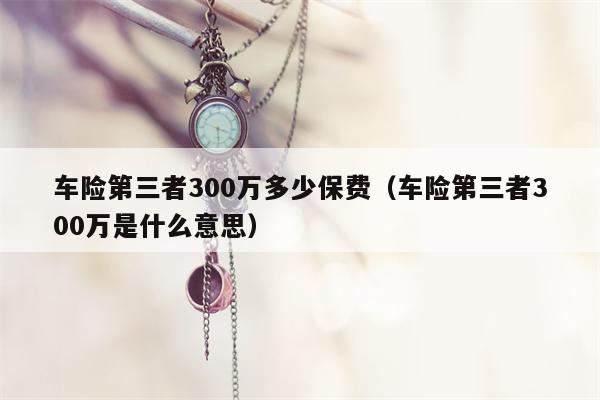 车险第三者300万多少保费（车险第三者300万是什么意思）