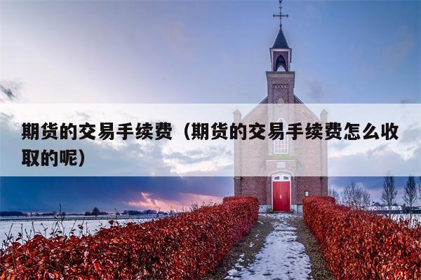 期货的交易手续费（期货的交易手续费怎么收取的呢）